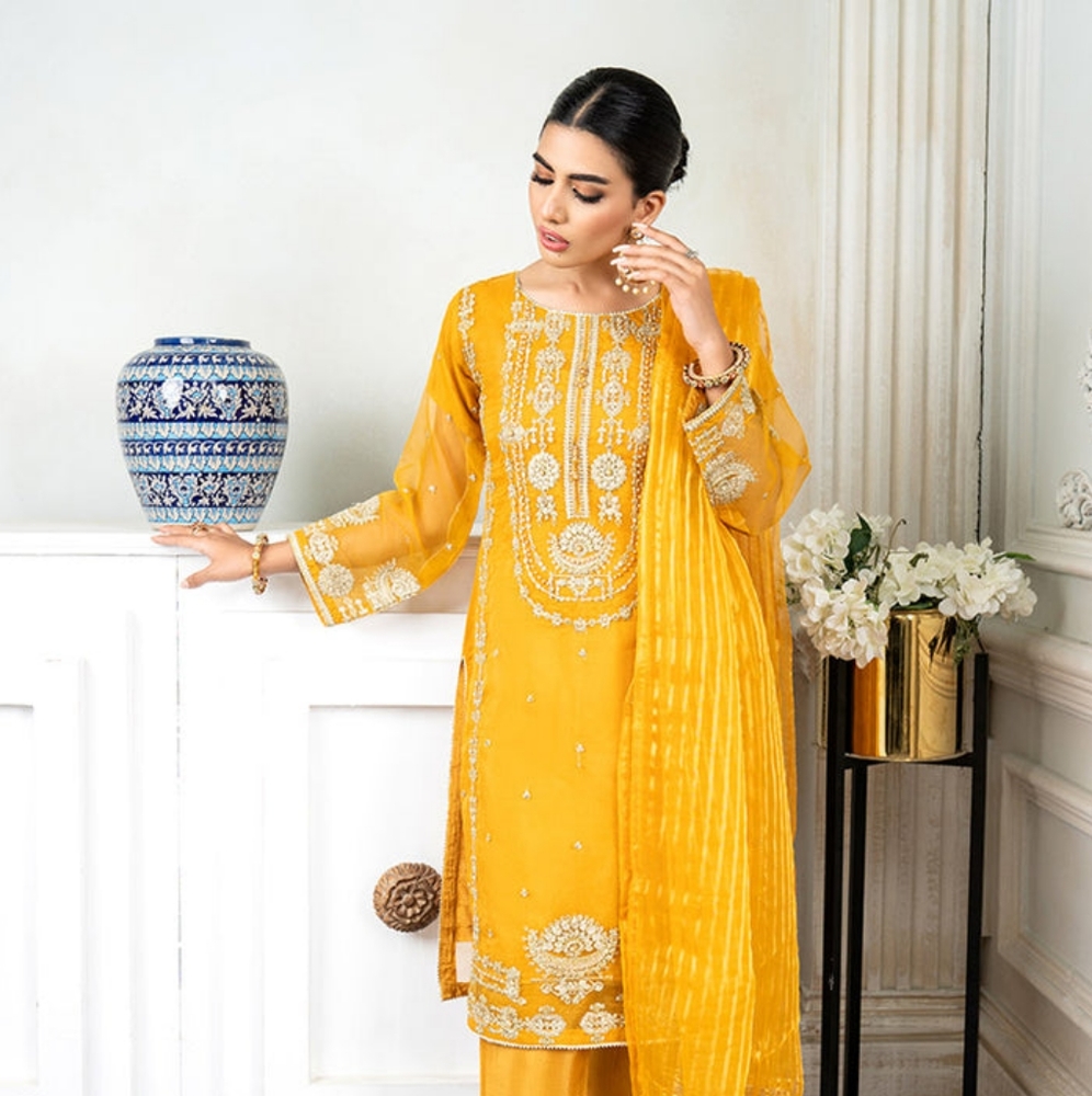 Women pakistani India dress||women fancy party wear dress || women wedding dress